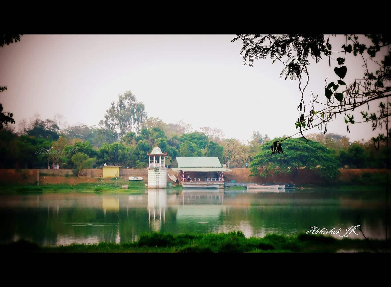 Kukkarahalli Lake in Mysuru, with trees reflected in the water