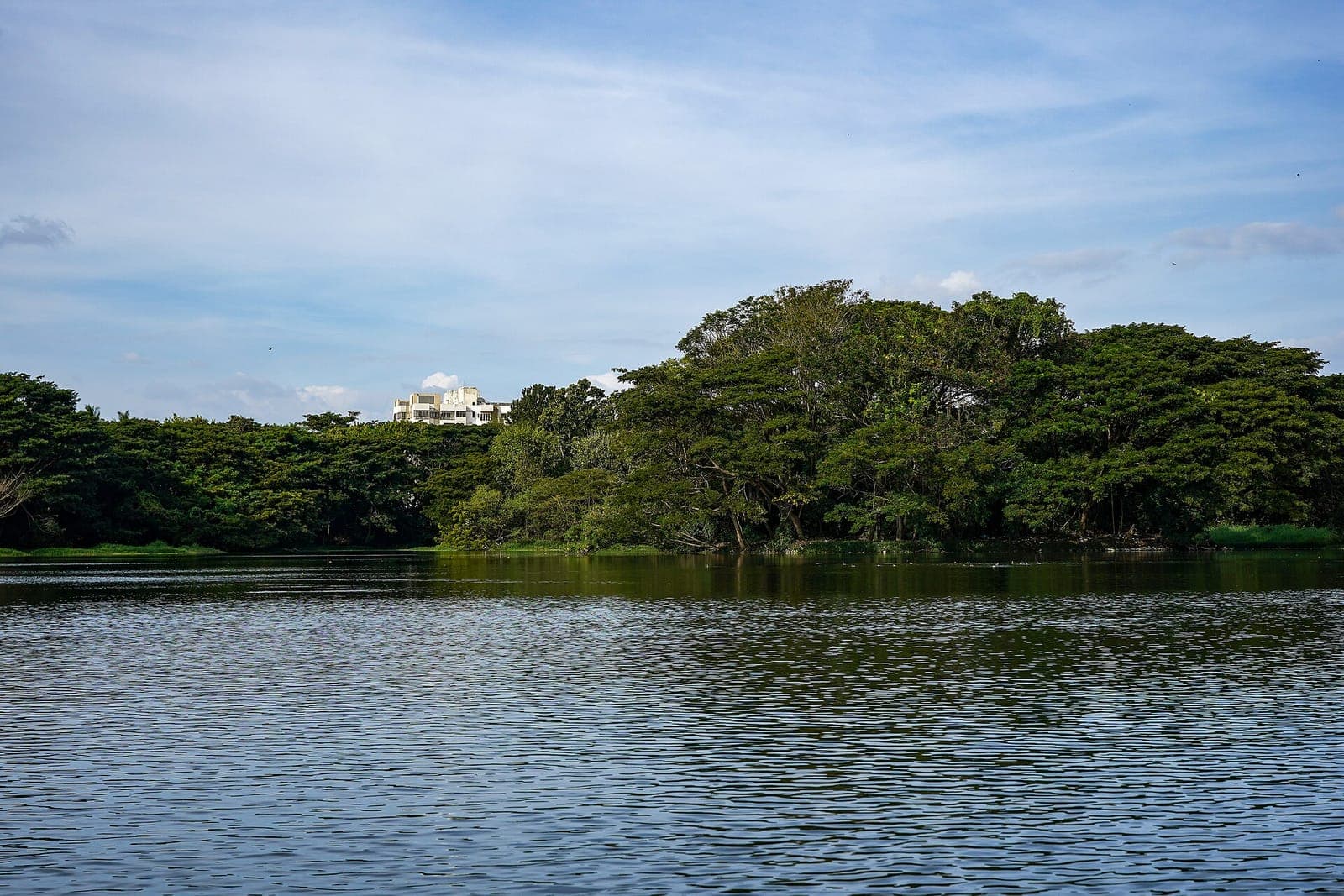 Trees and still water at Karanji Lake in Mysuru